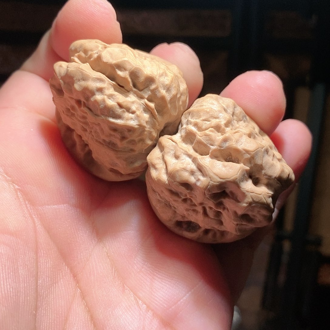 文玩核桃把件42肚蛤蟆头