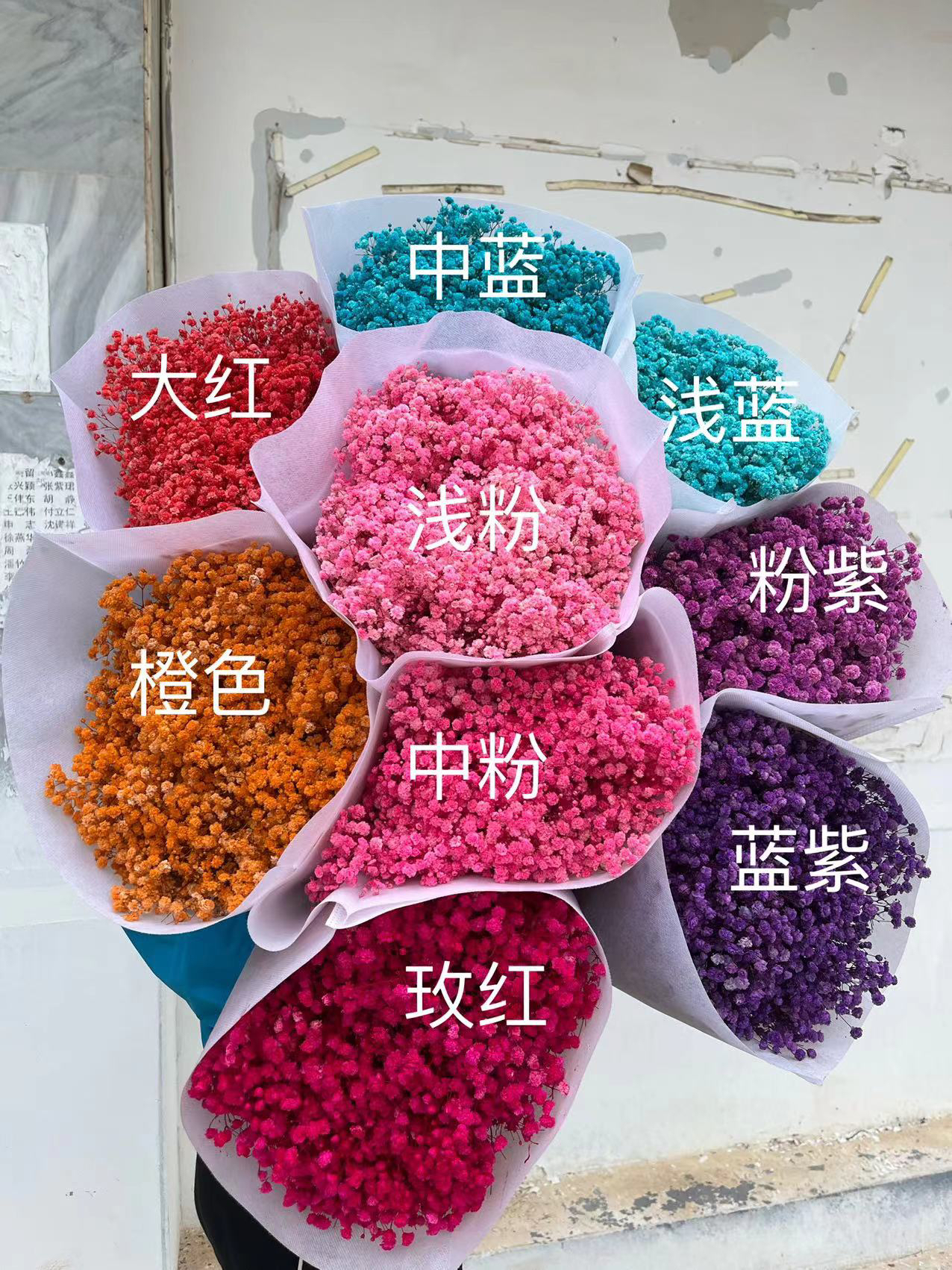 云南昆明永生满天星