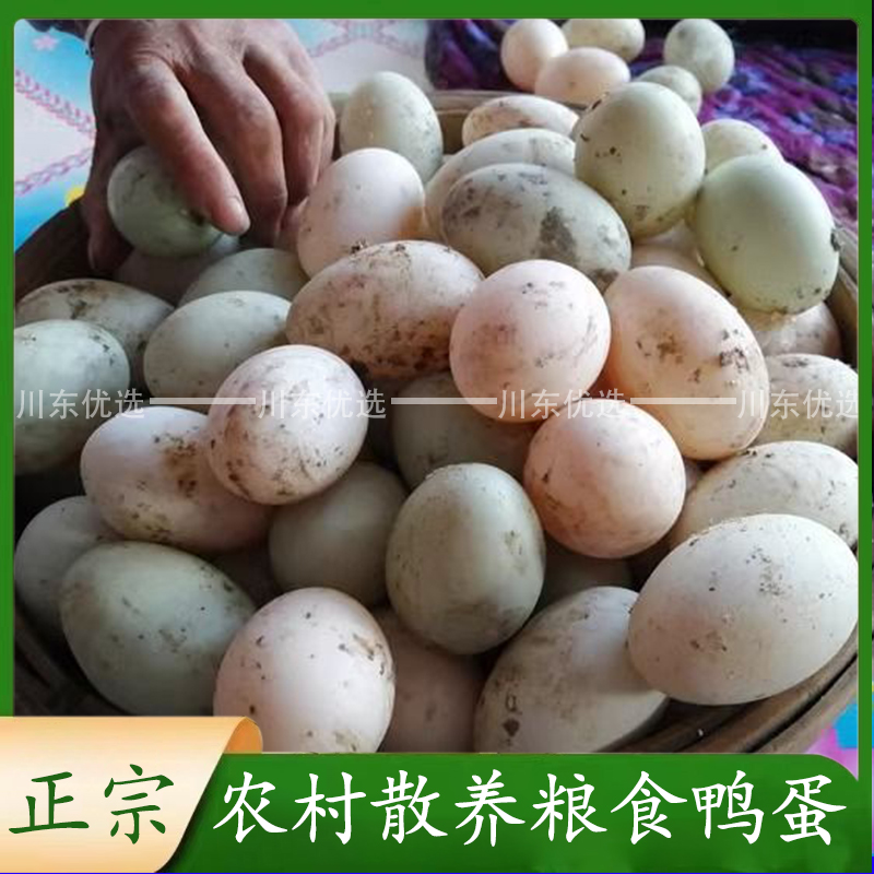 农家土鸭蛋粮食散养新鲜助农赶集直播带货四川广安老百姓自产自销