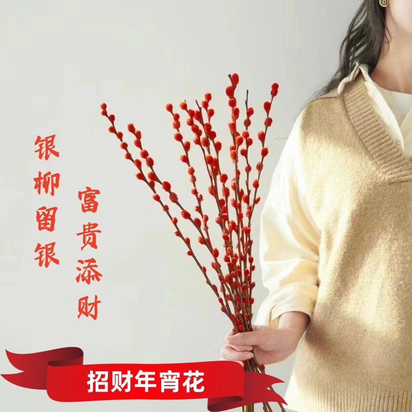 招财银柳鲜支花真花客厅室内摆件春节年宵花红色干花银柳花瓶装饰