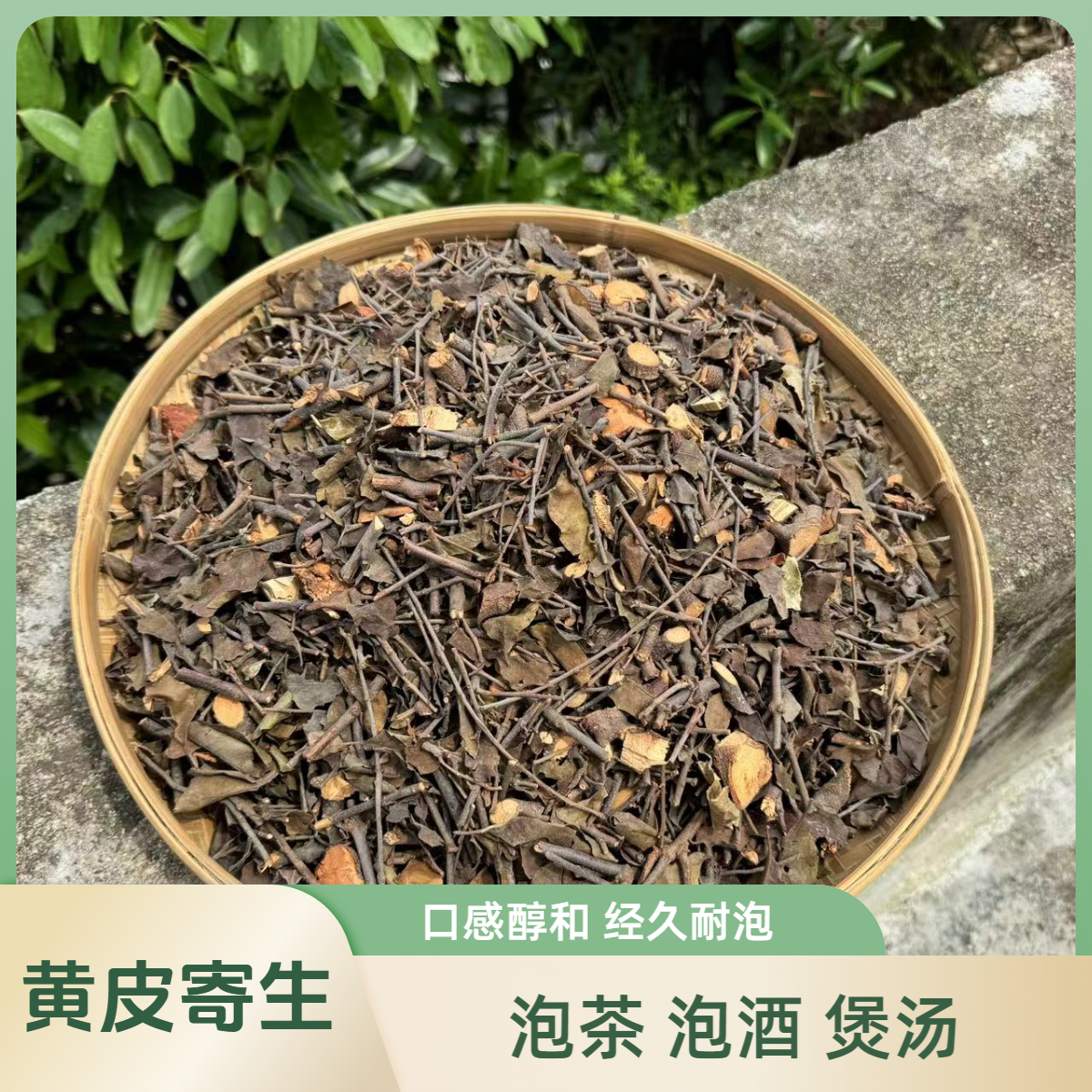 黄皮树寄生茶罗定大山自然晾晒