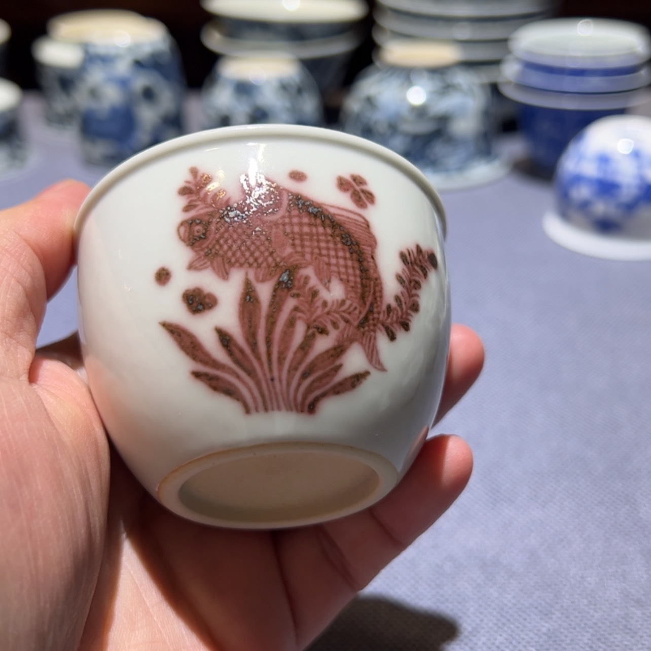 【闪购商品】瓷11111111