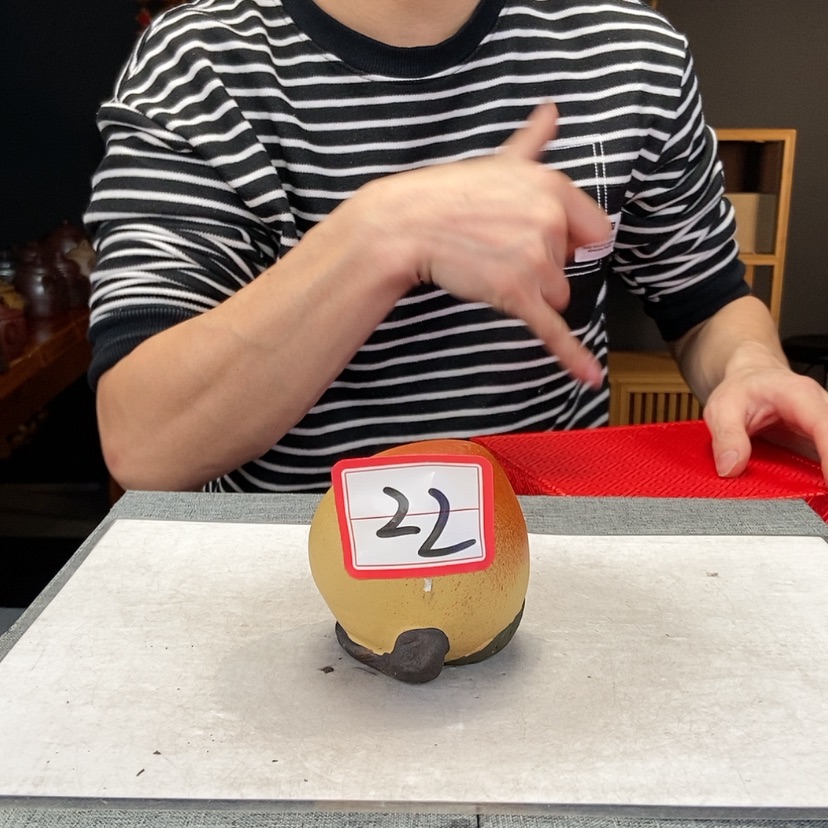 【闪购商品】紫砂茶壶