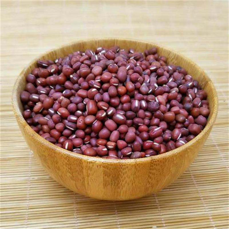 无品牌陕北红小豆赤小豆3斤5斤散装简装食用农产品碳水营养产地