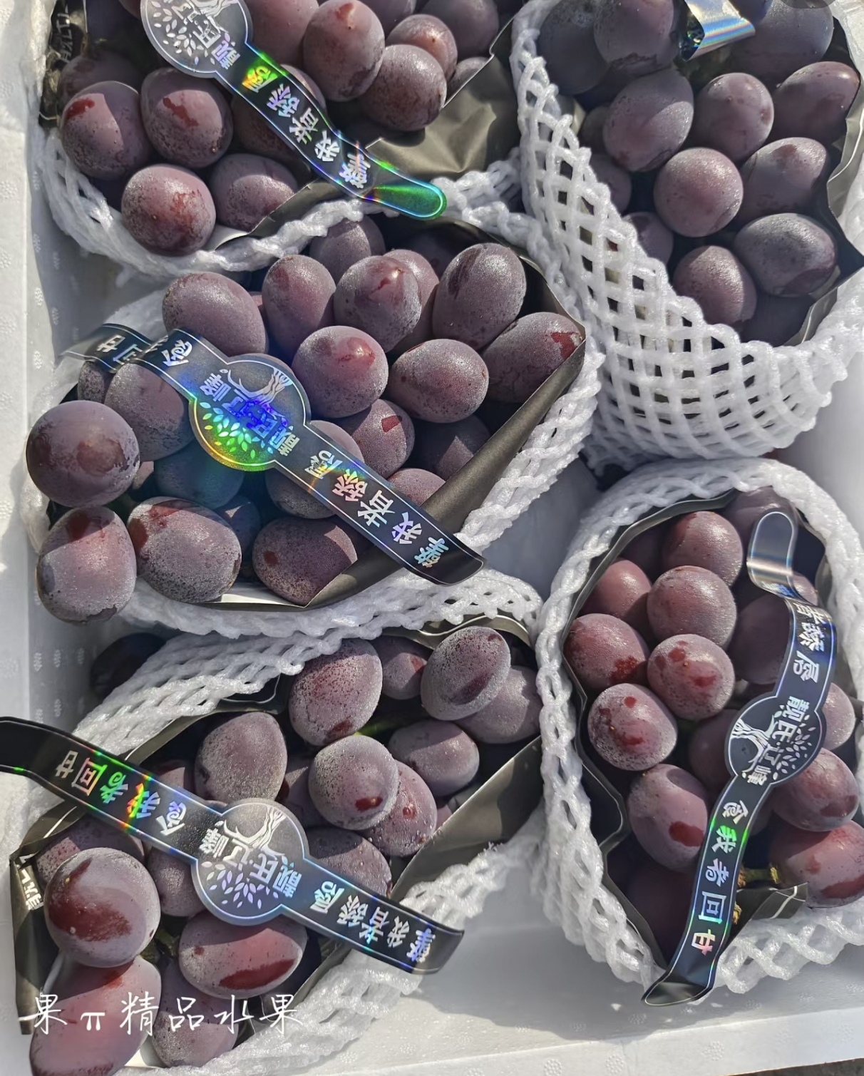 靓式辽峰葡萄25.8一斤