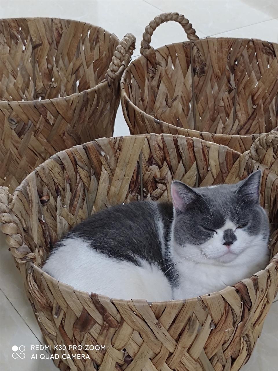 葫芦草编织收纳筐外贸库存尾单发2只天然猫狗窝