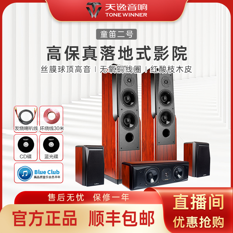 Winner/天逸童笛2号家庭影院套装音响组合家用功放音响套装落地式