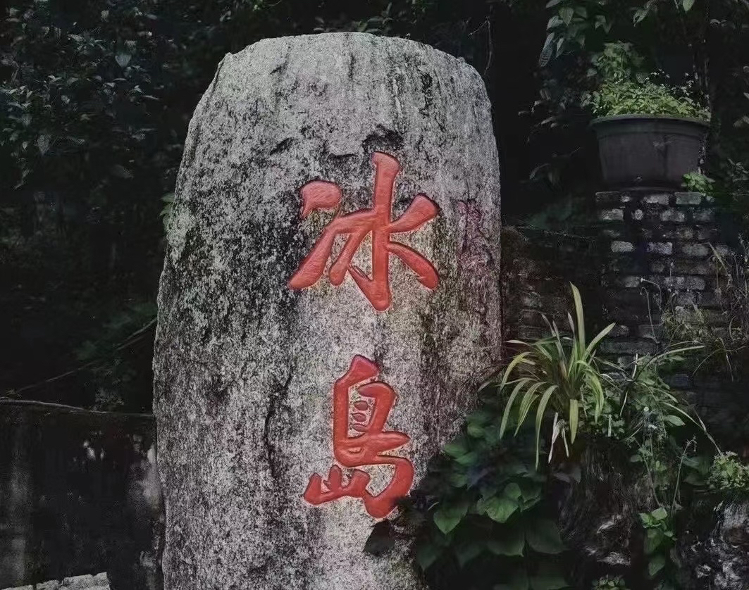 冰岛老寨2025头春 一类古树纯料 普洱生茶