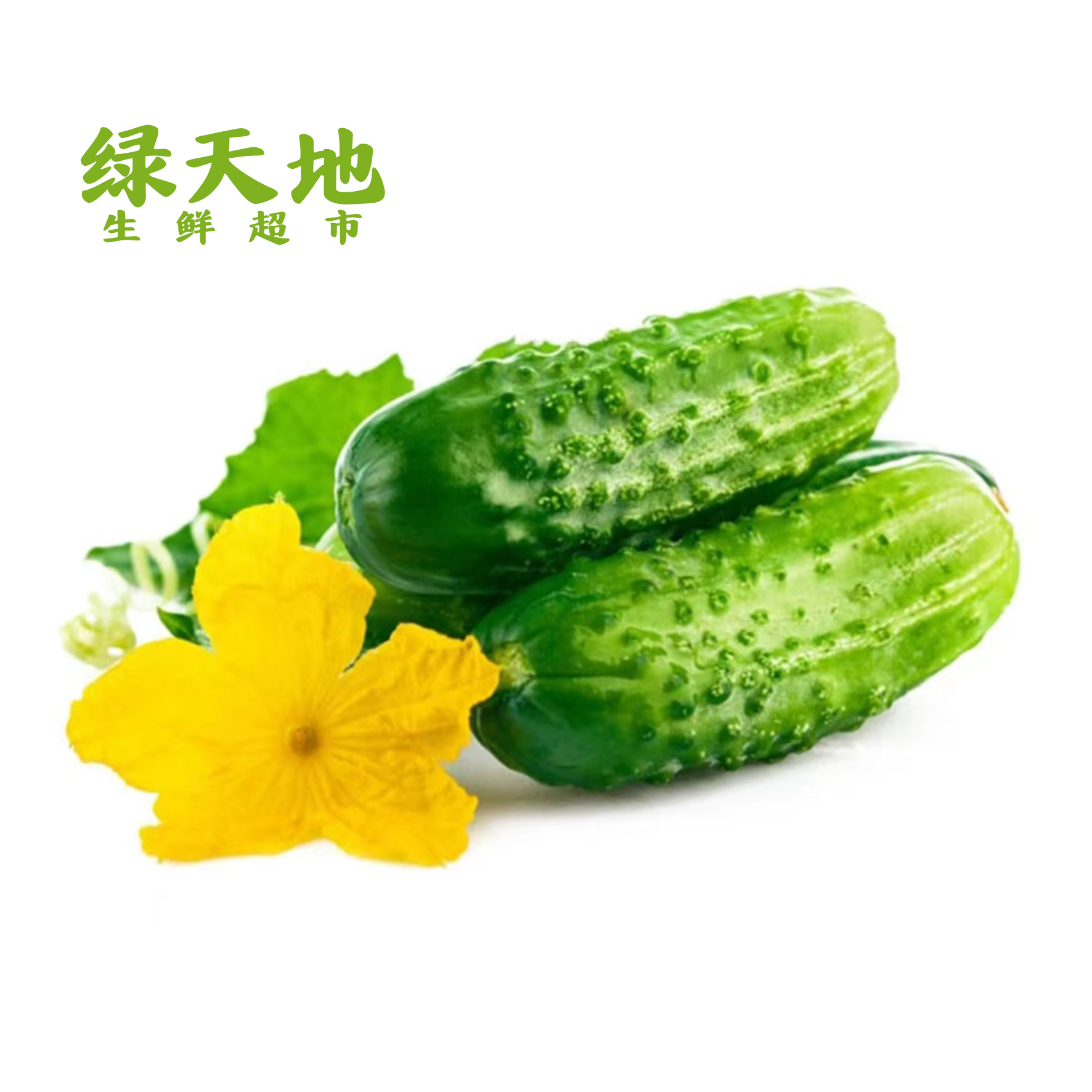 【蔬菜】旱黄瓜  /斤