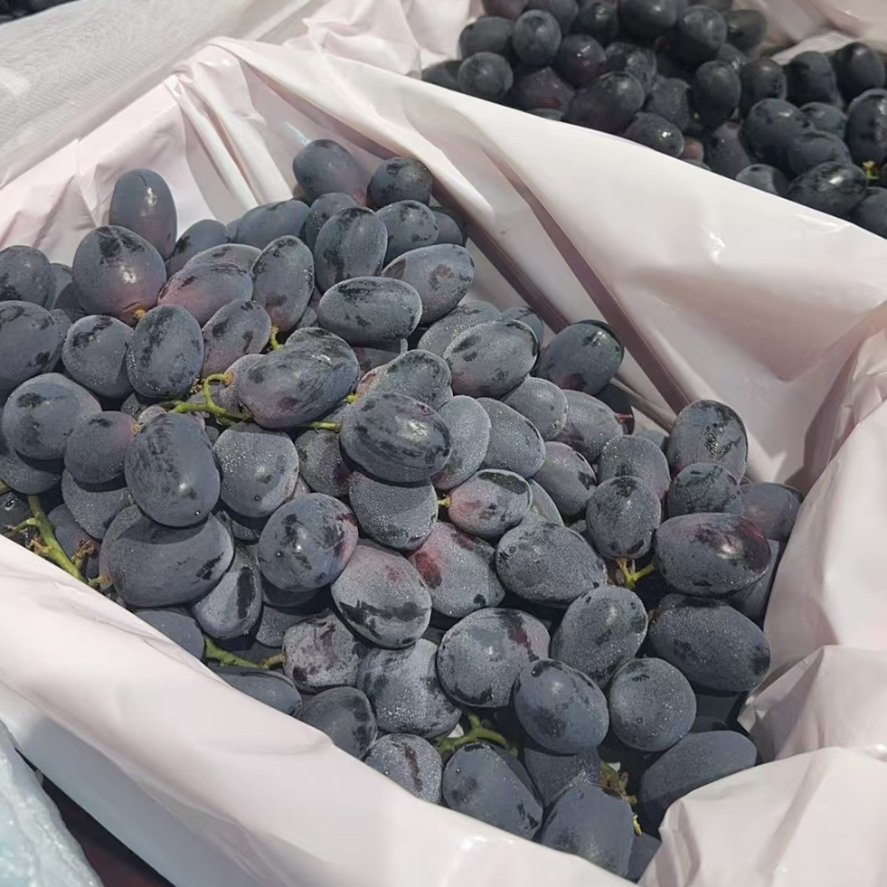 【水果】黑提葡萄/斤
