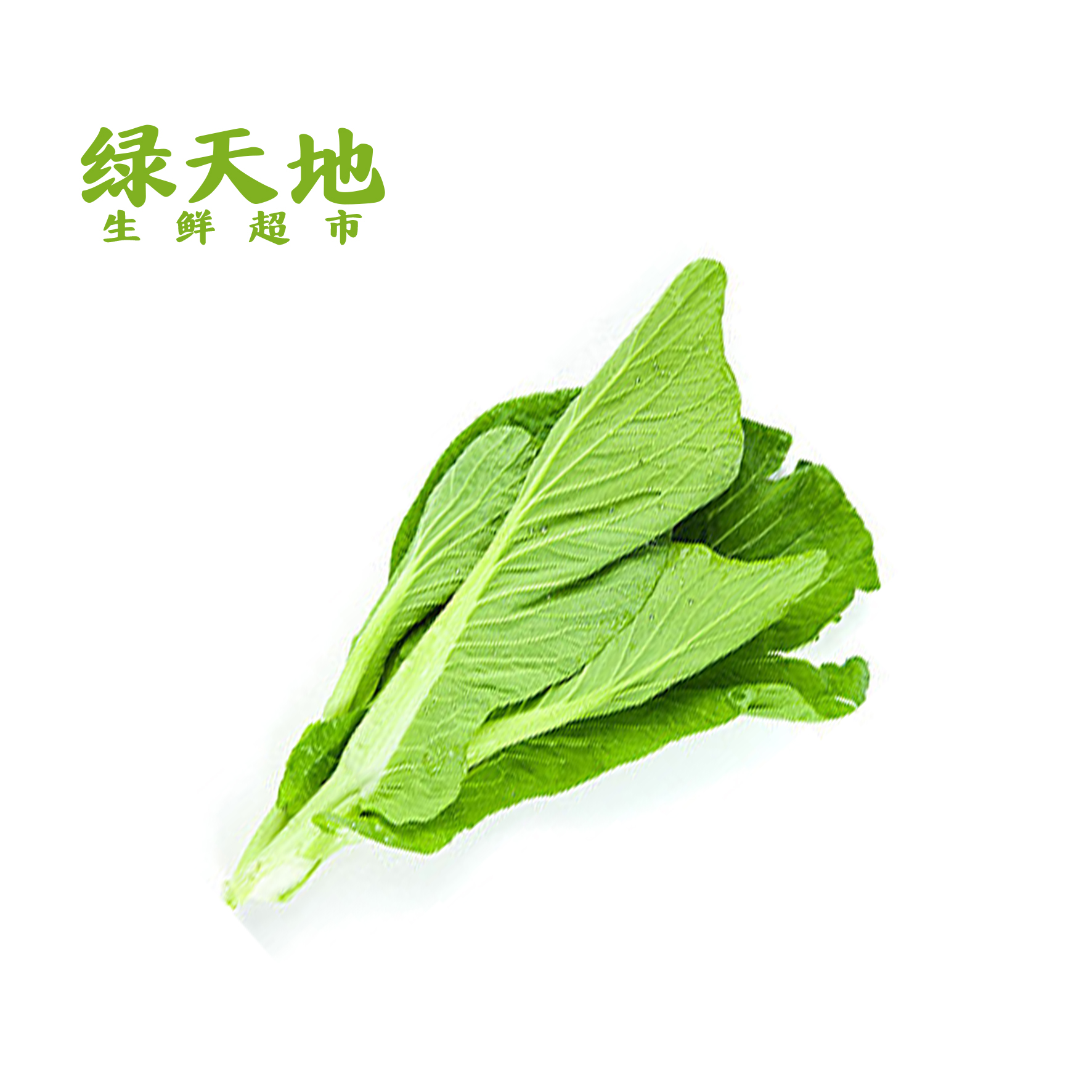 【蔬菜】二白菜  约2斤左右