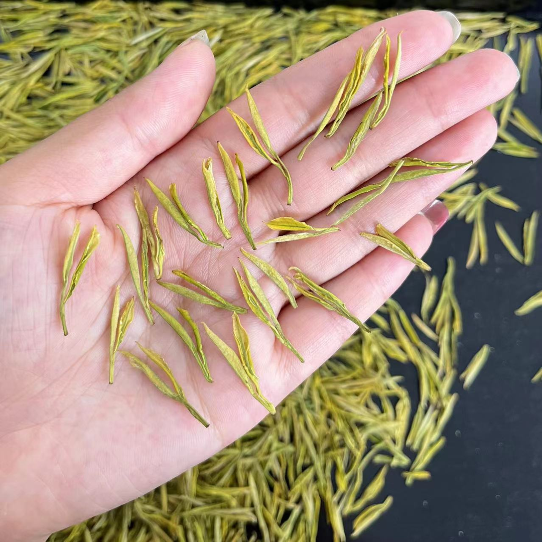 补贴款【短芽茶黄金芽】明前春茶高山小芽头黄金芽  鲜爽回甘  