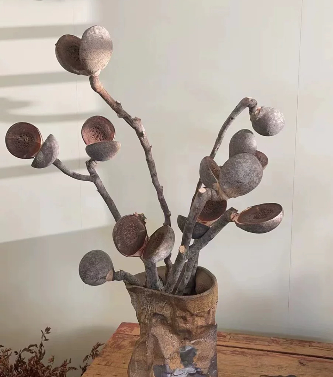 【哈克木制链接】严选高档永生品质轻奢家居装饰高级花材天然进口