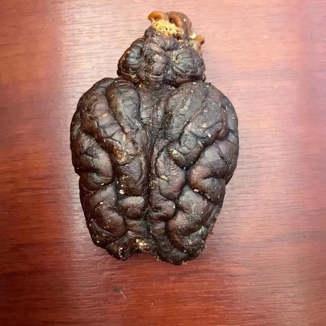 东北正宗梅花鹿鹿脑