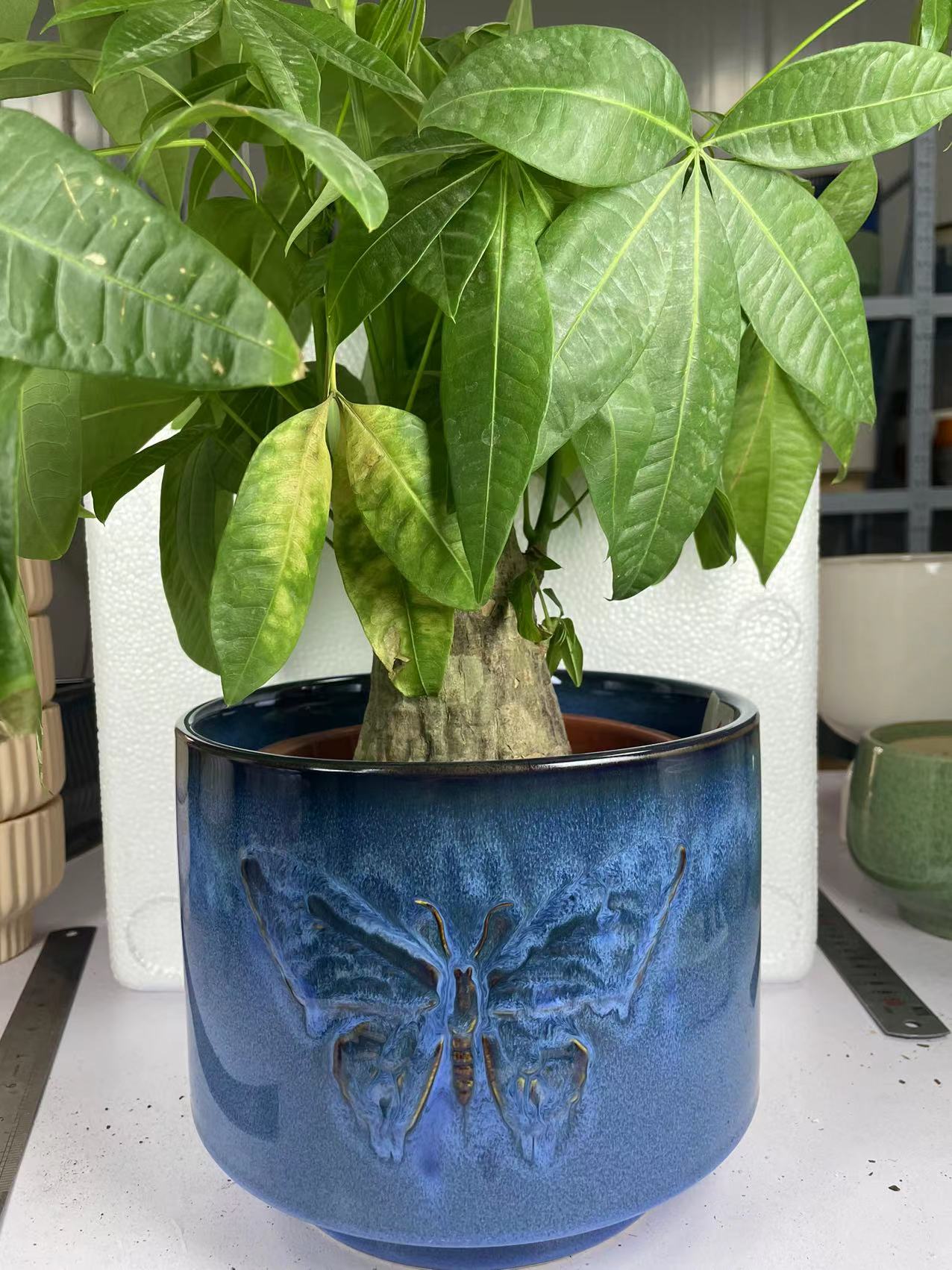 新款花盆陶瓷带托盘简约新中式阳台绿植兰花特价清仓盆栽多肉花盆