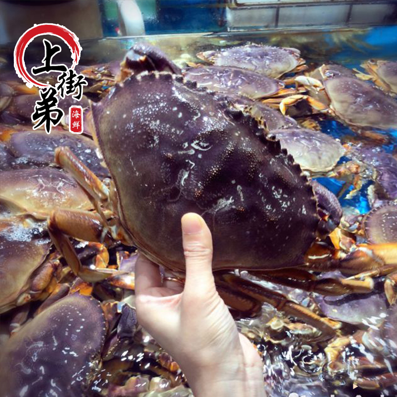 鲜活太子蟹螃蟹福州发货500克