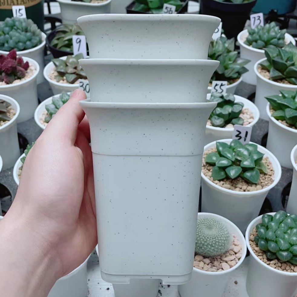 【加高大方盆3个】10cm口径（满18包邮）大口径大多肉植物用