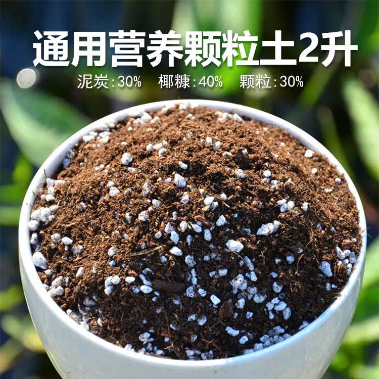 【多肉颗粒土】1包（满18包邮）9公分盆每份可种4-5盆多肉植物