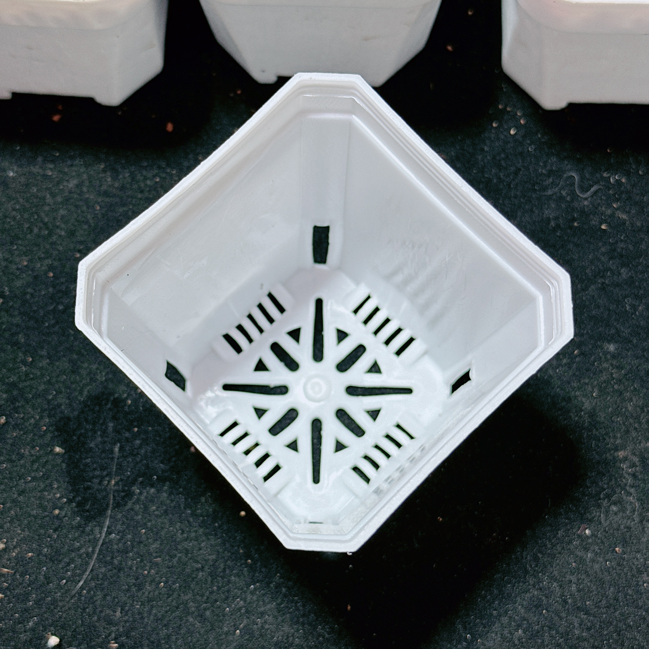 【白方盆5个】白色 口径7cm 高度7cm 多肉植物用  多肉植物