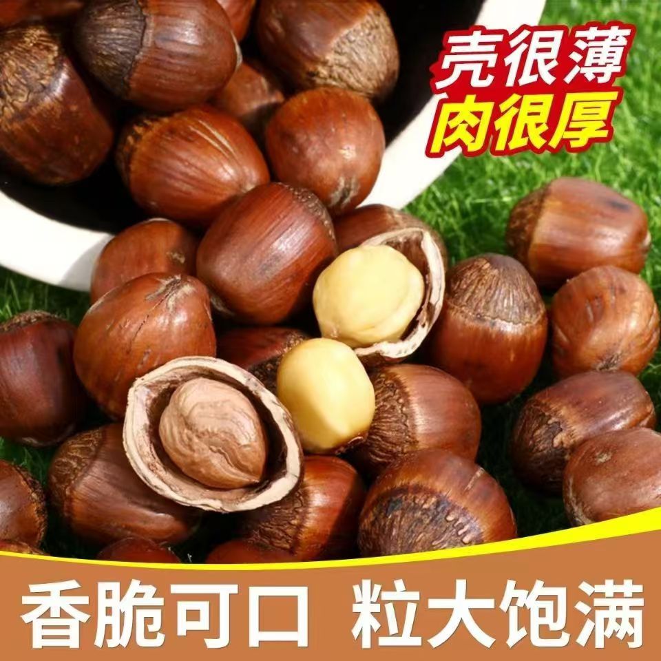 东北特产笨炒大榛子3斤4斤皮薄仁满香甜营养 