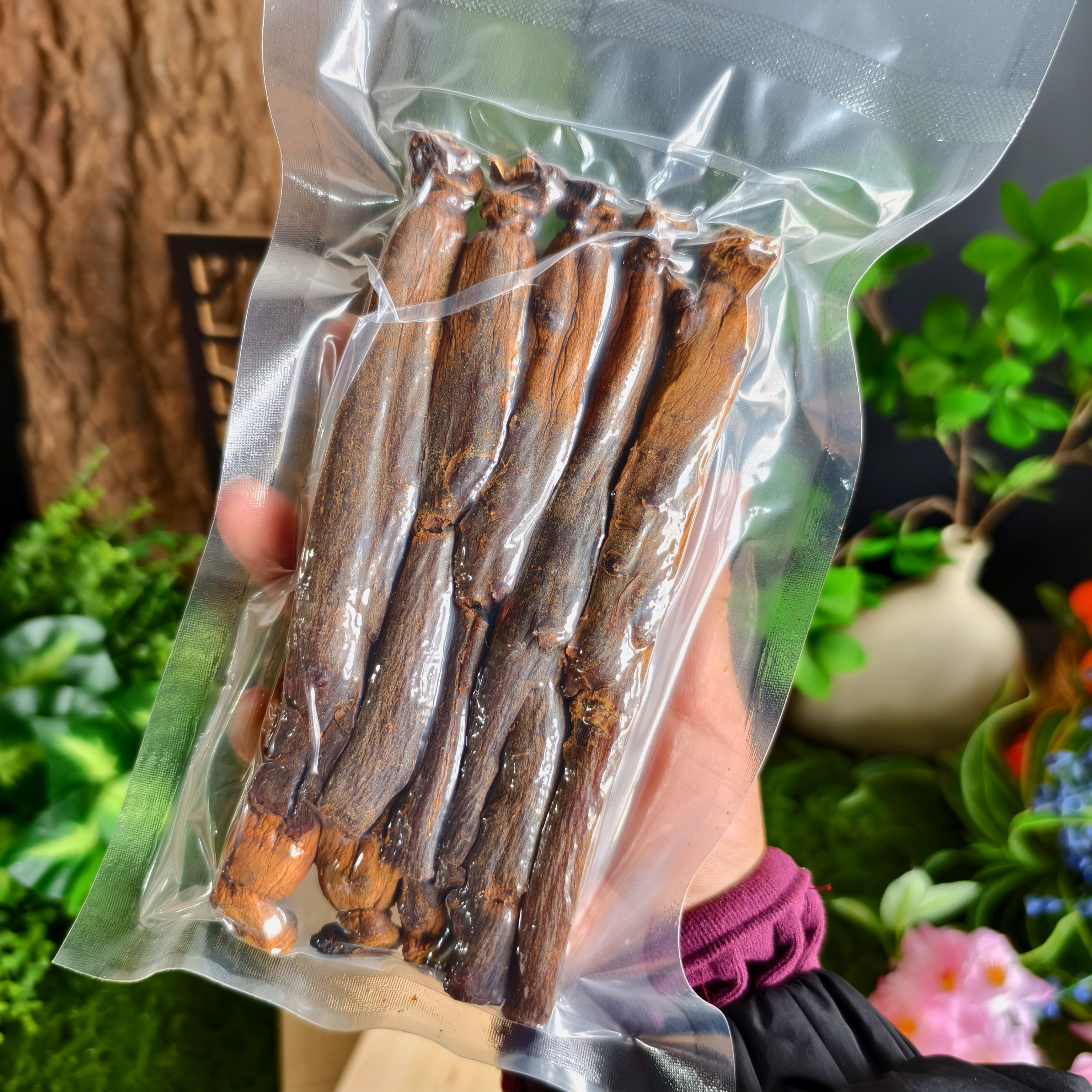 【集安味道】长白山高丽参松木盒装顺丰包邮