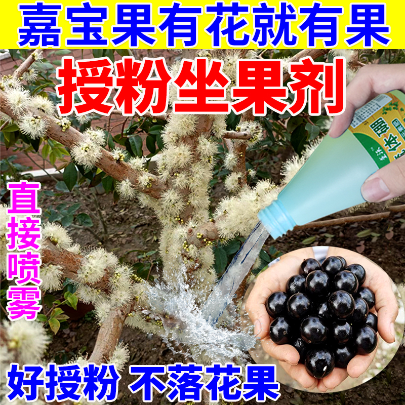 嘉宝果增产剂催花授粉坐果精果实膨大增产果树缺硼专用叶面肥料