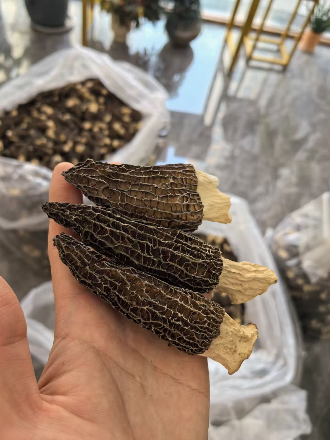 【羊肚菌】四川干货羊肚菌100克起煲汤肉厚鲜美饱满浓郁