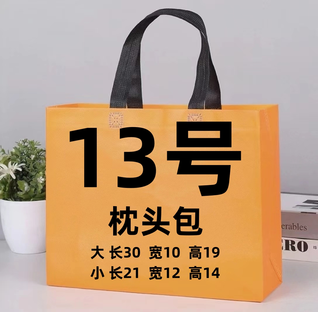 13号  Y经典洋气高级枕头包