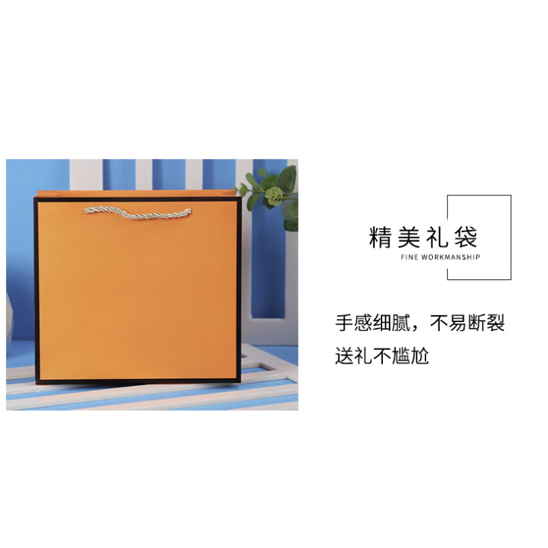 赠时尚经典专属礼袋
