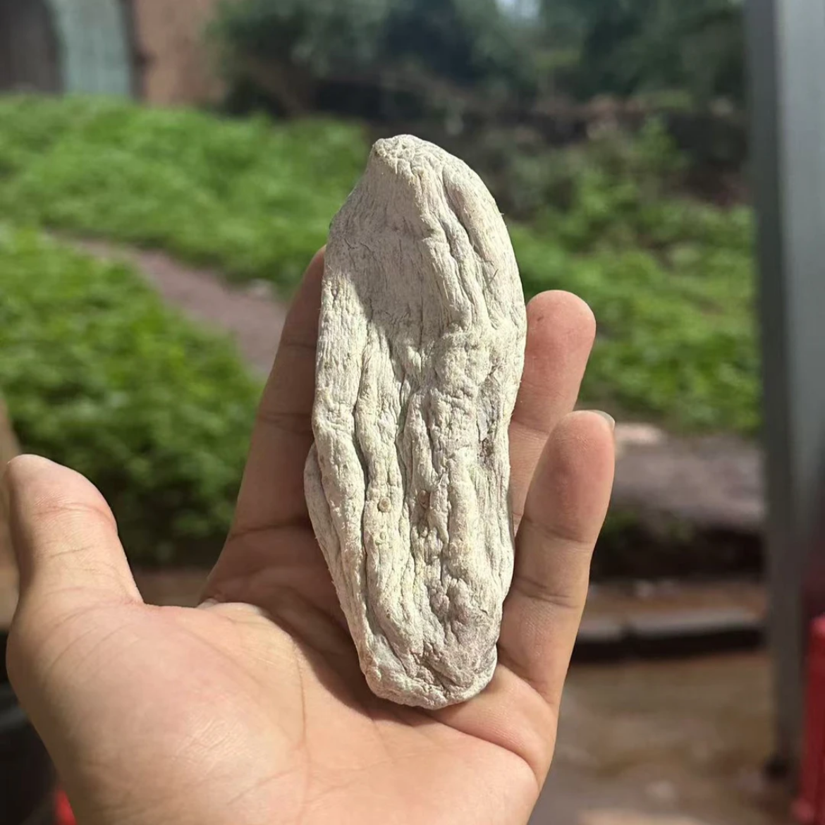 【白玉天麻】净重-250g-500g-1000g