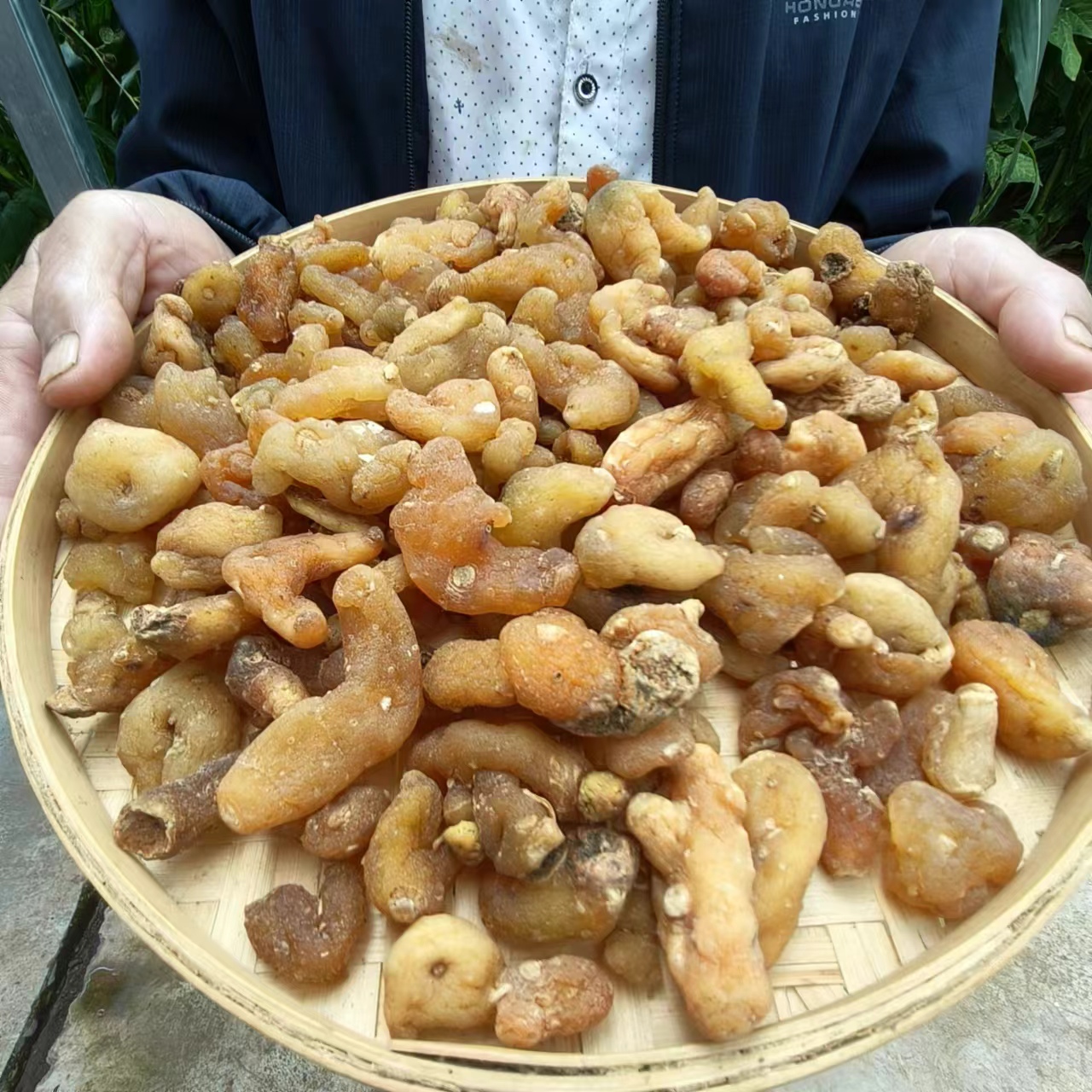 【藏金莲】250g-500g