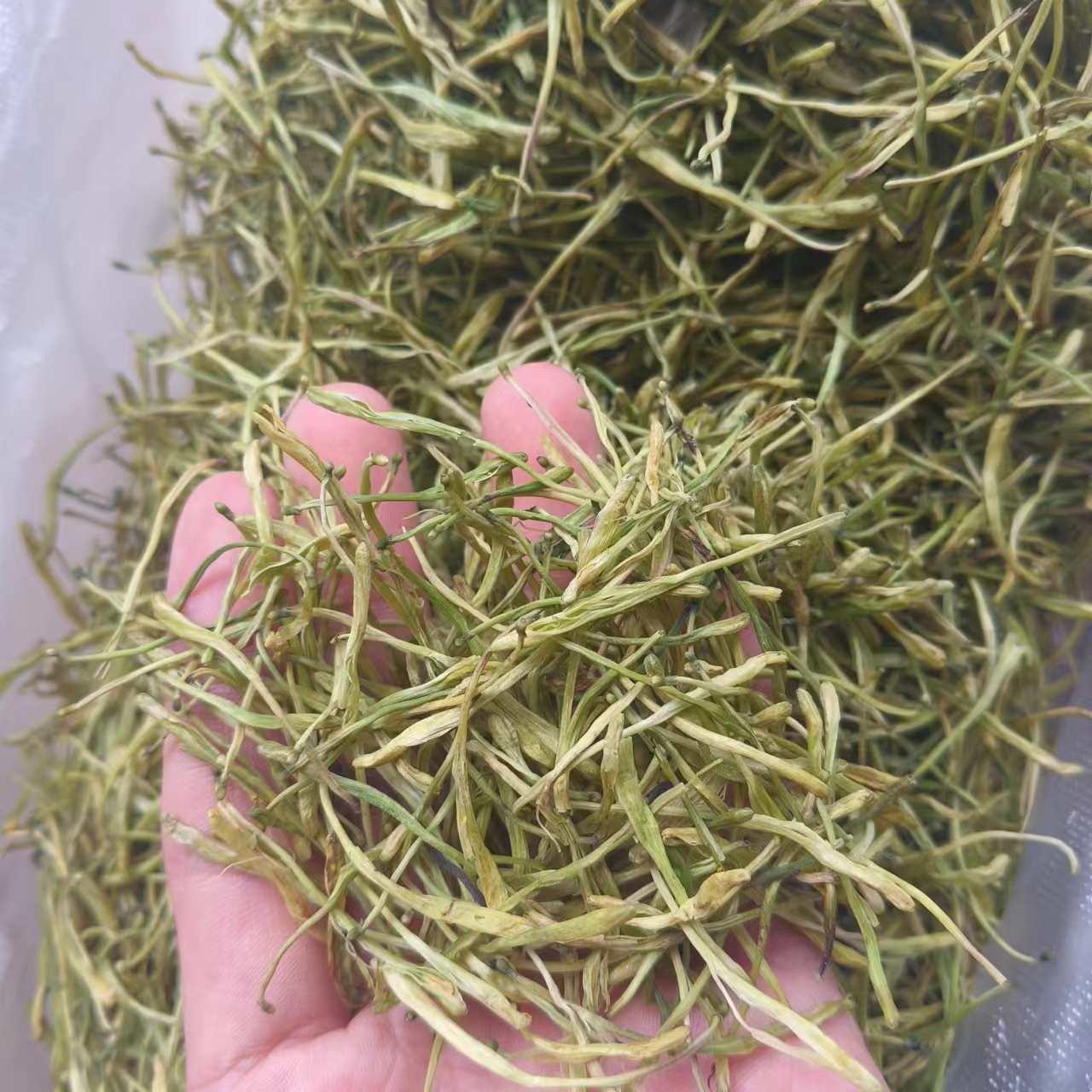 瑶瑶【金银花】50g