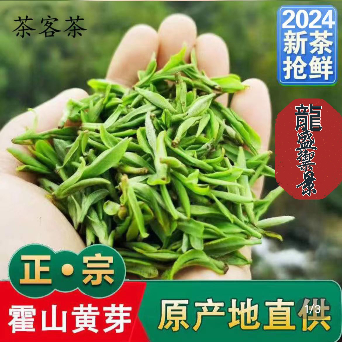 25年挂龙尖霍山黄芽新茶