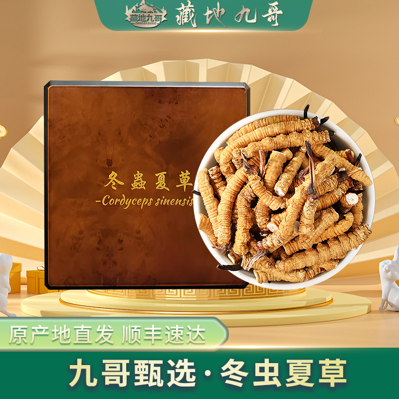 藏地九哥干冬虫夏草断草22克装断草带礼盒自用甄选