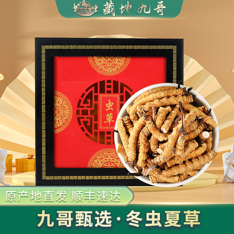 藏地九哥【干断草20克】高品质冬虫夏草新草滋补养生带礼盒