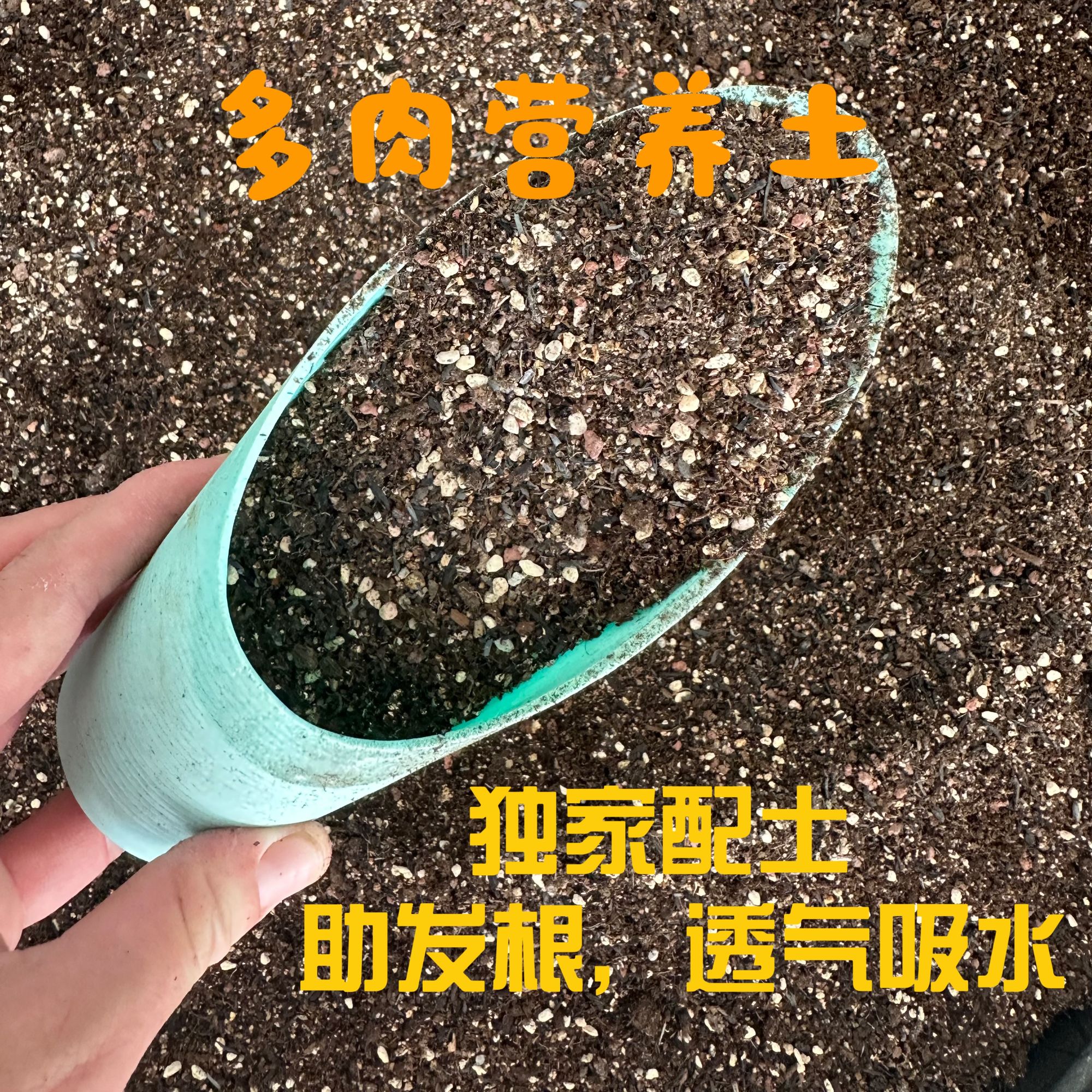 生石花肉锥多肉专用土营养土种植土播种土专用育苗配方疏松透气土
