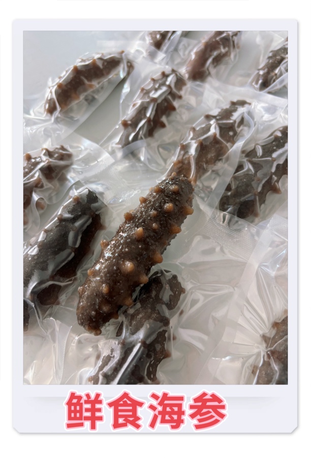 鲜食海参（7头左右/斤，12～14头左右/斤）