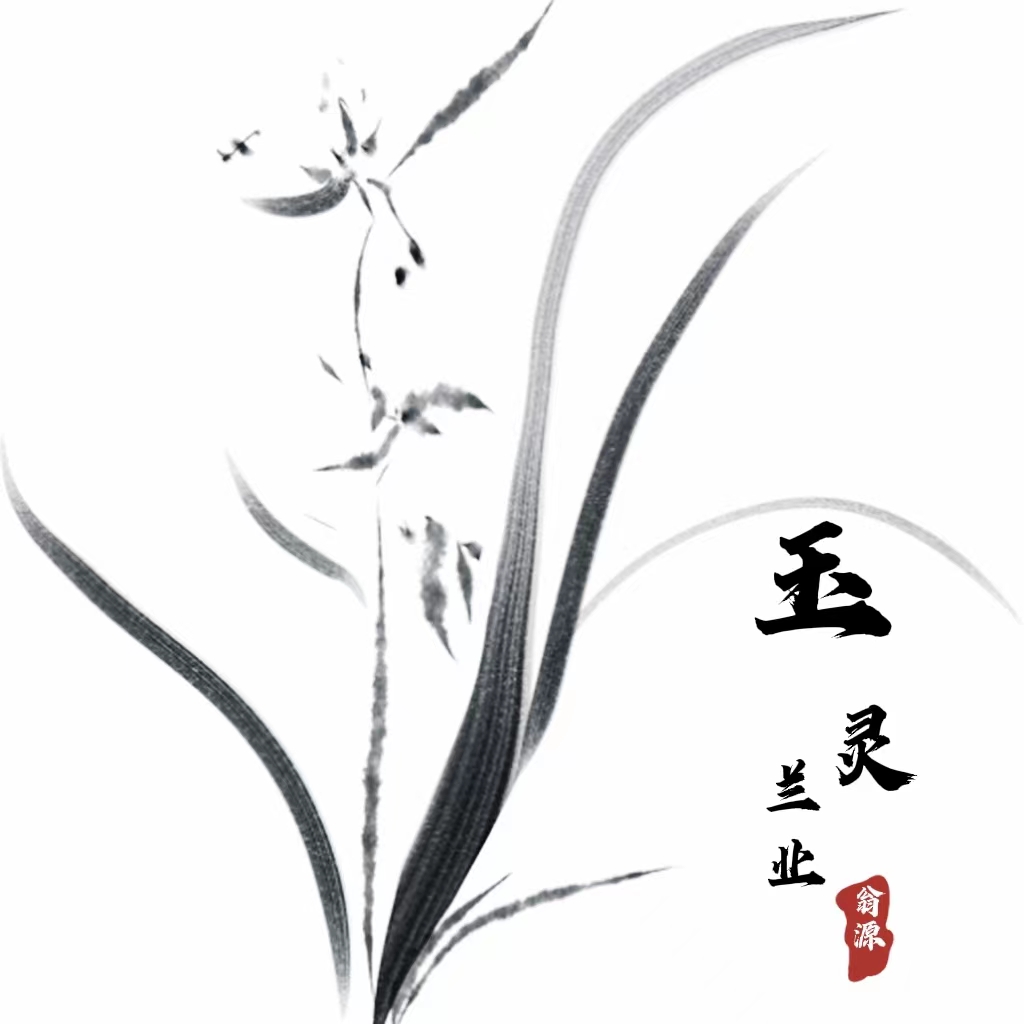 玉灵兰花直播间（一物一拍）乱拍发植料