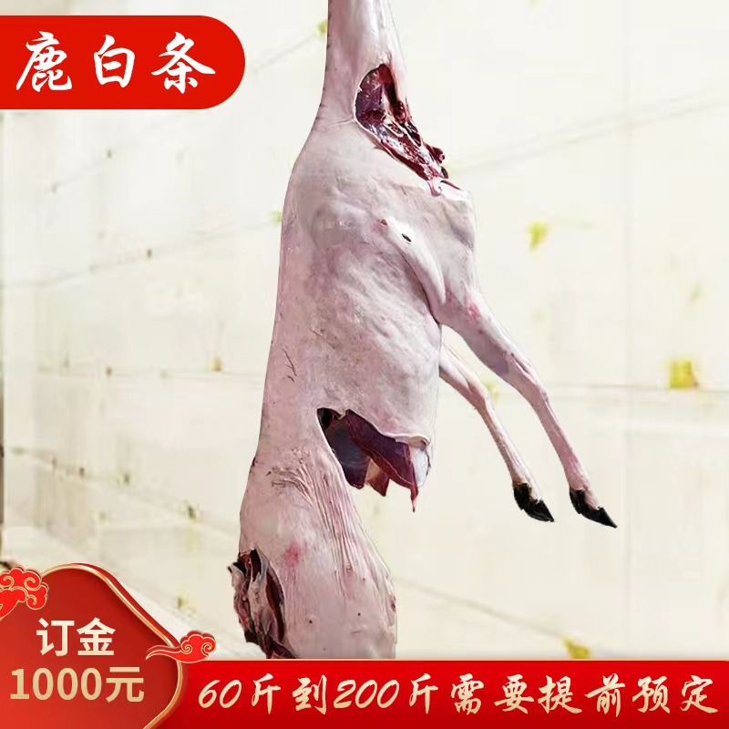 【吉林鹿乡】整只白条鹿预定链接  60-200斤 订金1000