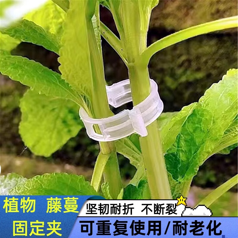 【100个=9.99元】农园果蔬藤蔓固定夹植物瓜果爬藤固定器可重复使用