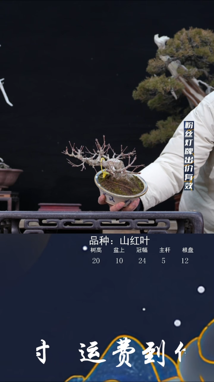 【闪购商品】110067