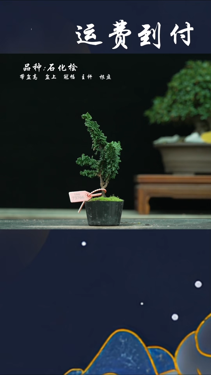 【闪购商品】73766