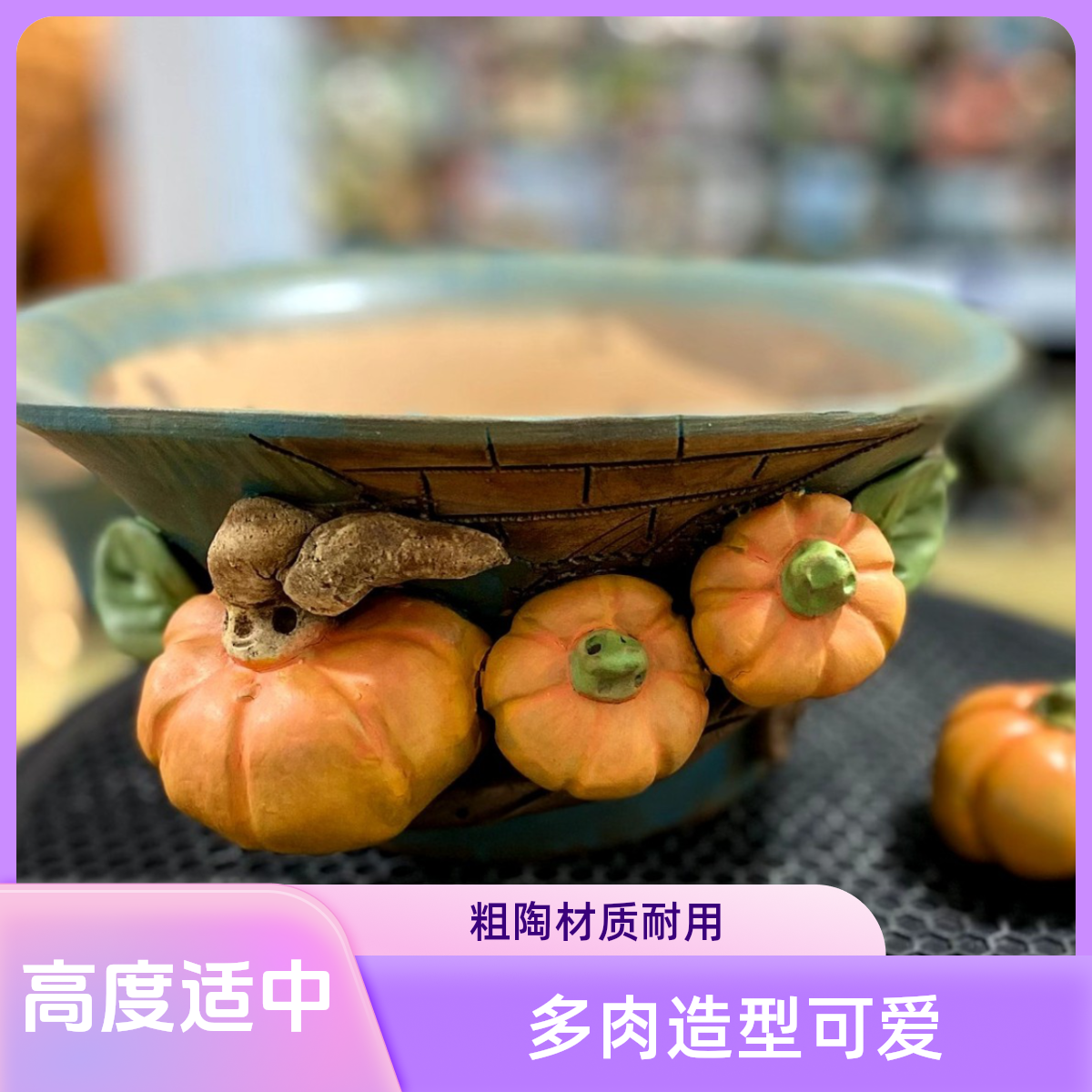 嘻哈粗陶麦饭石手工多肉