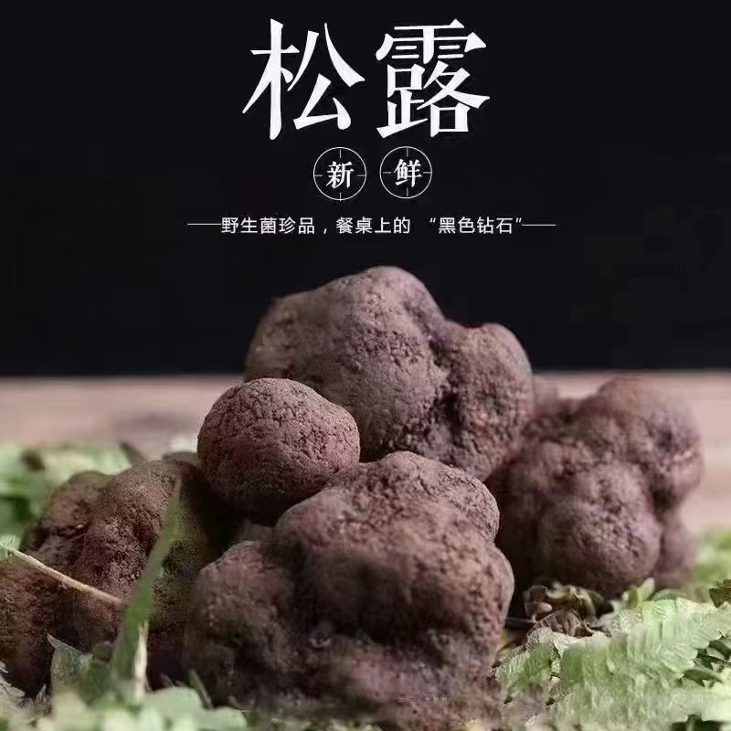 新鲜美味松露满足味蕾享受