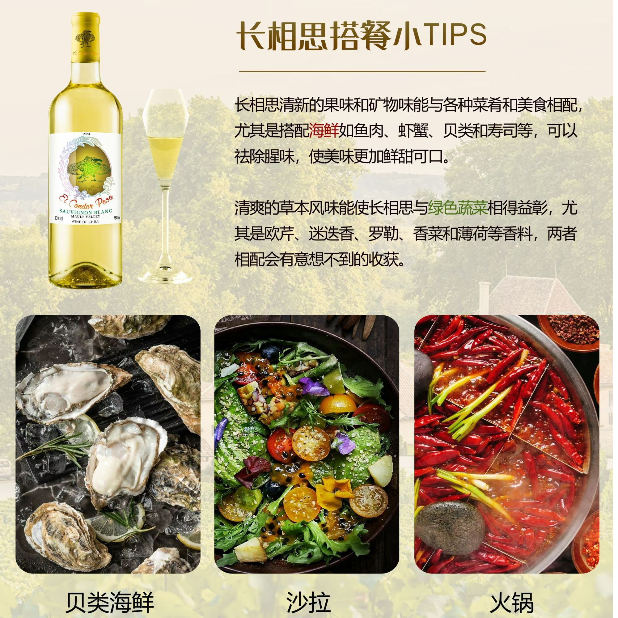 智利原瓶原装进口老鹰之歌长相思干白葡萄酒13.5%vol 750ml