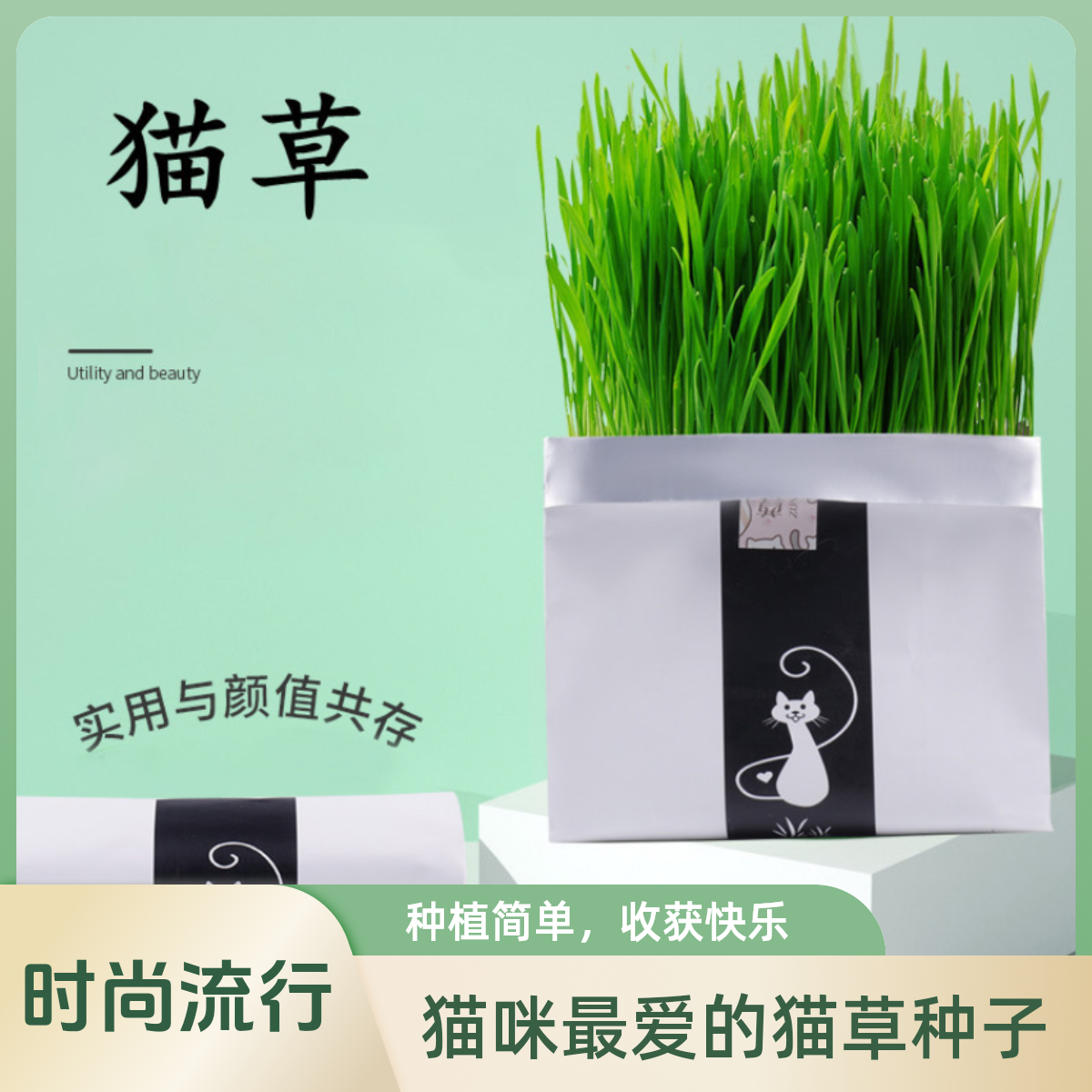 【新疆包邮】猫草创新滤水设计猫咪零食化毛排毛球补充水培丰富盆栽
