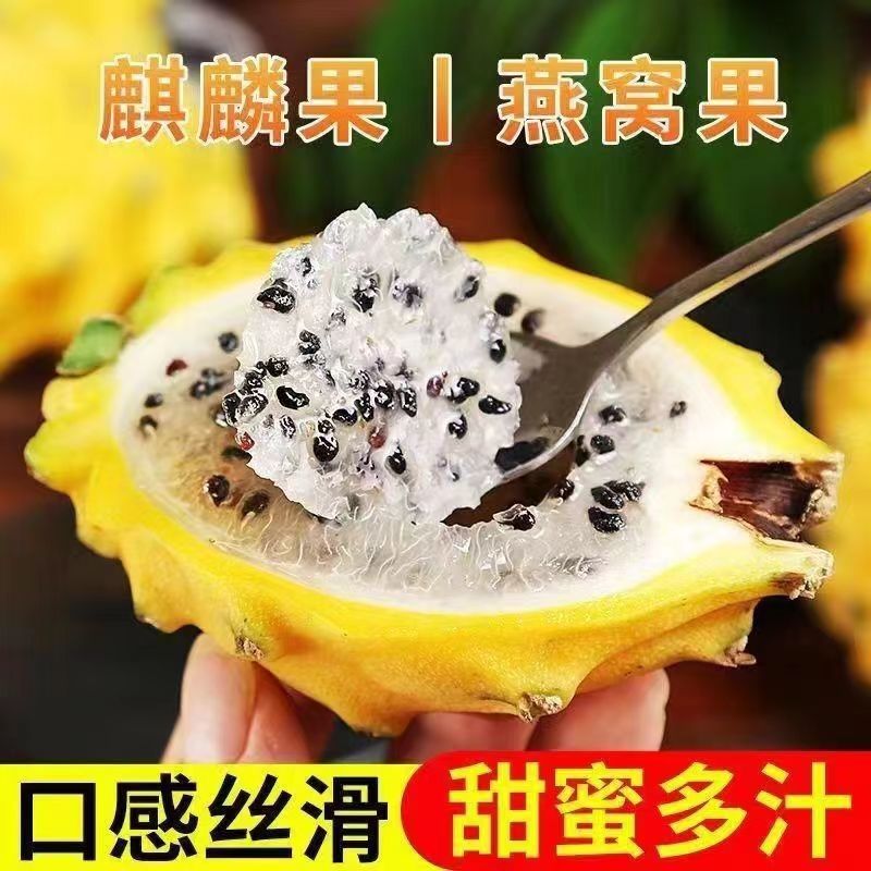 【新特大果】新鲜燕窝果3斤，单果4-5两（如诗鲜生）