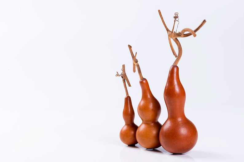 天然葫芦直播间下单链接纯手工创意简约