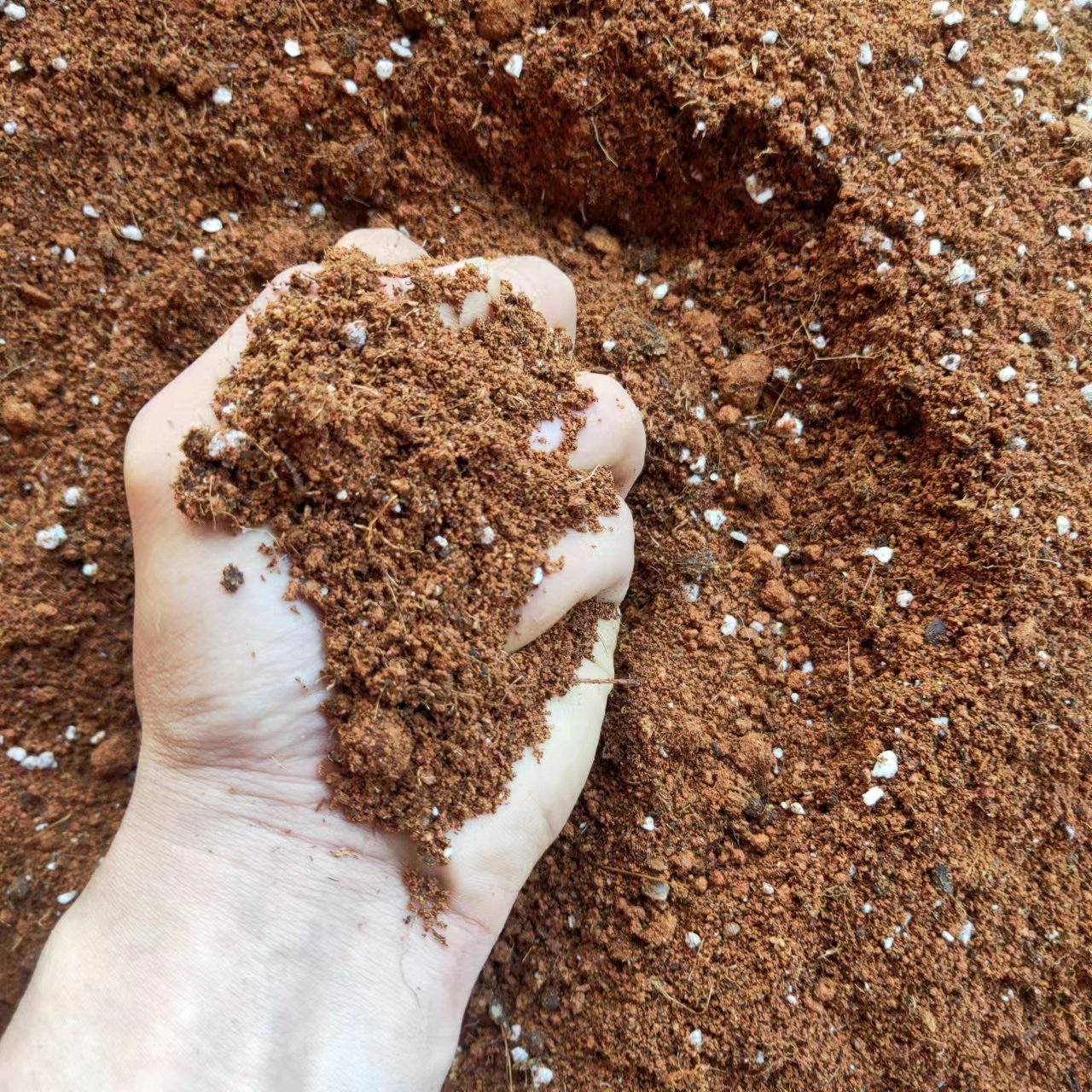 杜鹃花专用营养土