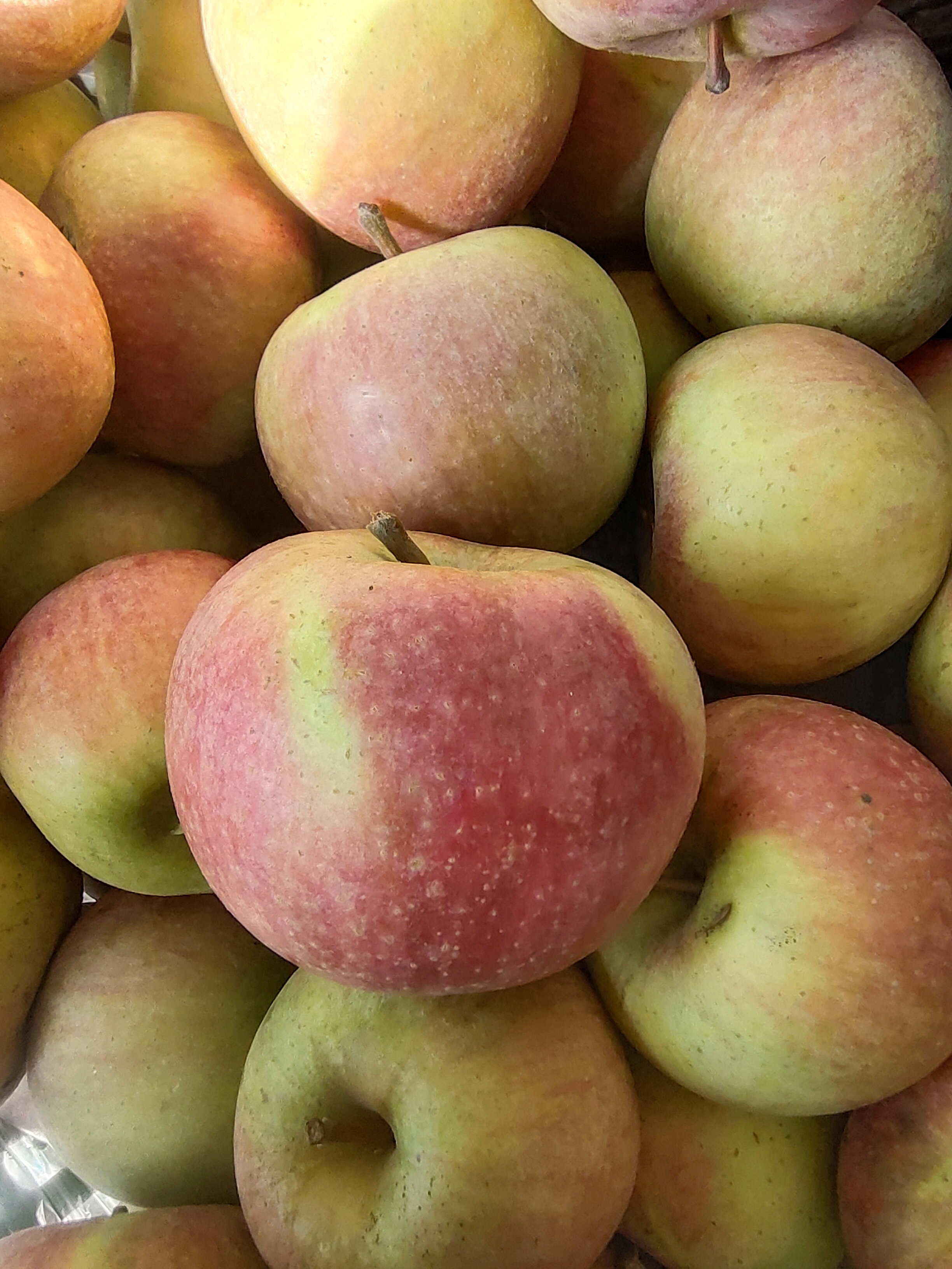 国光苹果新鲜5斤不套袋国光辽宁特产小苹果酸甜多汁5斤正宗老果光